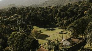 an aerial view of a park in a forest at Roots Resort in Monte Verde