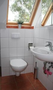 a bathroom with a sink and a toilet at See in Sicht in Sternberg