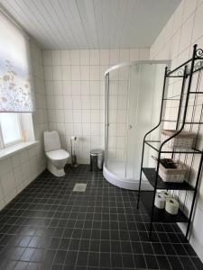 a bathroom with a shower and a toilet at Suur-Mere Guesthouse in Haapsalu