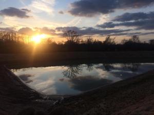un reflejo del cielo en un estanque al atardecer en Strawberry Fields Glamping at Cottrell Family Farm, en Wokingham