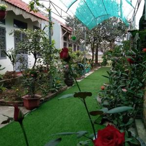 een tuin met groen gras en bloemen en een paraplu bij Hang Mua Happiness Homestay in Ninh Binh