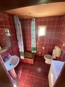 ハツェグにあるCasa Otiliaの赤いタイル張りのバスルーム(洗面台、トイレ付)