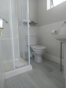 a bathroom with a toilet and a shower and a sink at Blackrock Carole Ville Guesthouse in Cork