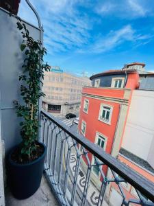 - un balcon avec une plante en pot dans un bâtiment dans l'établissement Lindo apartamento em zona central, Batalha - Porto, à Porto