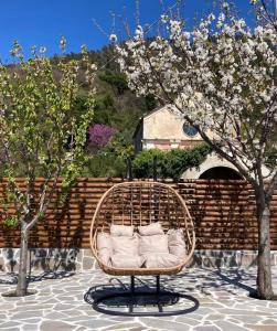 une chaise en rotin assise sur une terrasse à côté d'un arbre dans l'établissement La Vignana - 5 Terre, à Levanto