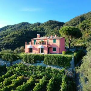 une maison rose au milieu d'une montagne dans l'établissement La Vignana - 5 Terre, à Levanto