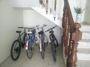 Jazda na bicykli v okolí ubytovania Apartamento Tranquilo Zona Paseo de Lordelo - WIFI - Mascotas