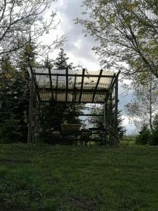 Zahrada ubytování Schlaffass und Hütte mit Teich