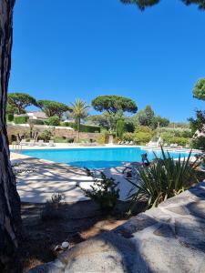 una piscina blu con alberi sullo sfondo di Appartement luxueux à 100m de la plage a Saint-Tropez
