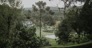 a view of a park with trees and a pond at Roots Resort in Monte Verde