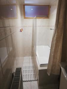 y baño con ducha y aseo. en Commealamaison, en Saint-Louis