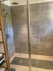 La salle de bains est pourvue d'une cabine de douche avec une porte en verre. dans l'établissement Mas Paradiso, à Allemagne-en-Provence