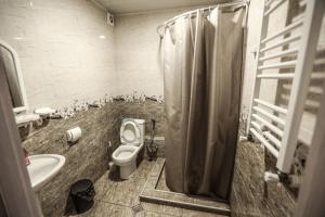 a bathroom with a toilet and a shower and a sink at Dogona Apartment in Tbilisi City +15 photos
