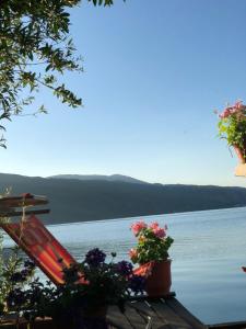 een uitzicht op een meer met een stoel en bloemen bij Rosas Home in Pogradec