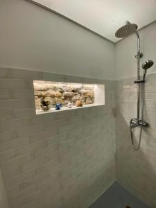 baño con ducha y una foto en la pared en Apartamentos Rosa La Bonita, en Avilés