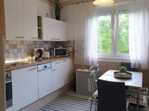 Kuchyň nebo kuchyňský kout v ubytování Apartman Balaton