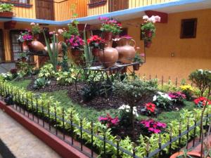 Zahrada ubytování Hotel Tradicional