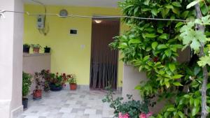 an entrance to a house with potted plants at Sonce - Tirana in Tirana