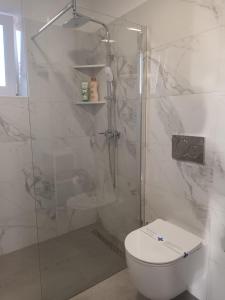 a white bathroom with a shower and a toilet at Apartments Merlin in Novigrad Istria
