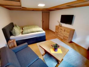 ein Wohnzimmer mit einem Sofa und einem TV in der Unterkunft Glockenstuhl, Haus in Tux