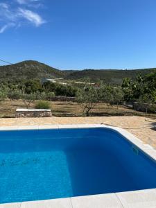 Gallery image of Apartment Olea in Marina