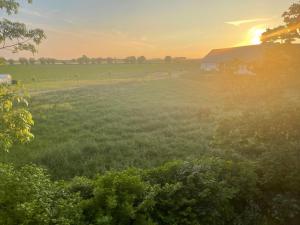 Paesaggio naturale nelle vicinanze dell'affittacamere