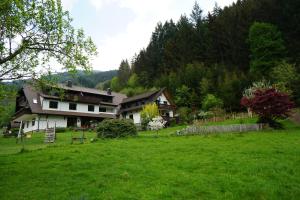 Příroda nedaleko apartmánu