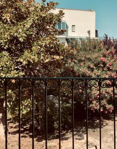Сад в Villa Verlengia +18 фотографий