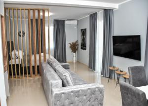 TV a/nebo společenská místnost v ubytování Apartments Šišević