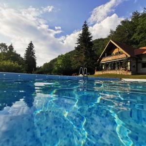 Πισίνα στο ή κοντά στο Pensiunea Ioana