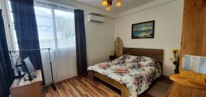 a bedroom with a bed and a tv and a window at Apartmani Sidro Senj in Senj