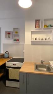 kuchnia ze zlewem i kuchenką w obiekcie Appartement entier. Nice Riquier w Nicei +3 zdjęcia