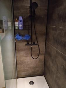La salle de bains est pourvue d'une douche avec un pommeau de douche. dans l'établissement Tour médiévale de l'an mille, à Loudes
