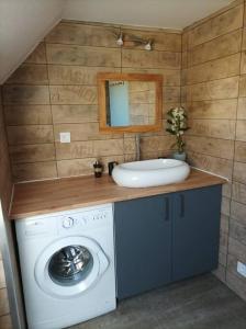a bathroom with a sink and a washing machine at Charmant appartement proche commerces et plages in Le Guilvinec