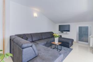 Telewizja i/lub zestaw kina domowego w obiekcie Apartment Ćosić Green