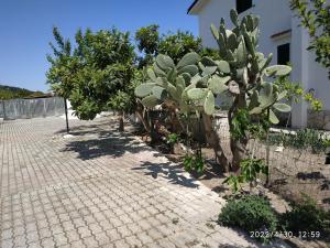 a row of plants and trees on a brick sidewalk at Villa Scialara in Vieste