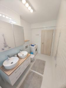 Select Apartment SIBIU tesisinde bir banyo