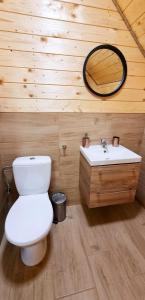 ein Badezimmer mit einer weißen Toilette und einem Waschbecken in der Unterkunft Domki Na Szlaku Bieszczady in Uherce Mineralne