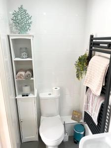 New Room @ Sean and Janes في باليكاسل: حمام مع مرحاض أبيض في الغرفة