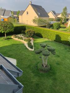 een tuin met een kleine boom in het gras bij Camélia rouge in Granville