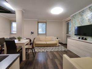 TV a/nebo společenská místnost v ubytování FREE WELLNESS & SPA MULTIMEDIA APARTMENT - SNÍDANĚ V CENĚ - ZDARMA VSTUP DO WELLNESS, VÍŘIVÉ VANY, SOLNÁ SAUNA, FINSKÁ SAUNA, PARNÍ SAUNA, MASÁŽE, PLAYSTATION 5 a HRY, SKLEP, MODERNÍ VYBAVENÍ, PARKOVÁNÍ ZDARMA, VYBAVENÍ PRO DĚTI, KLIDNÁ LOKALITA