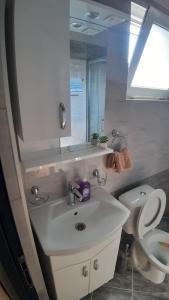 a bathroom with a sink and a toilet and a mirror at Goka apartments in Gevgelija