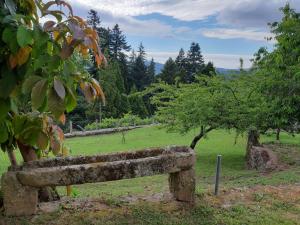 Vonkajšia záhrada v ubytovaní A Casa Da Asturiana