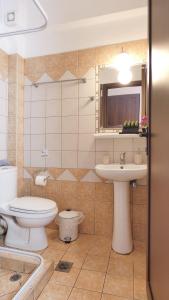 a bathroom with a toilet and a sink at House Chrysoula Mitsokopi in Sarti