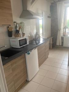 a kitchen with a sink and a microwave at Gite les pieds dans l'eau in Chaumont-sur-Loire