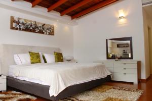 a bedroom with a large bed and a mirror at Una casa con vistas en Caracas in Caracas