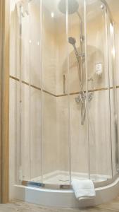 a shower with a glass door in a bathroom at Apartament Sandomierski in Sandomierz