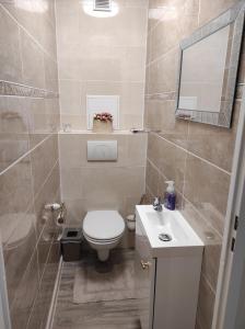 een badkamer met een toilet, een wastafel en een spiegel bij Appartements F3 Design Colmar+parking free in Colmar