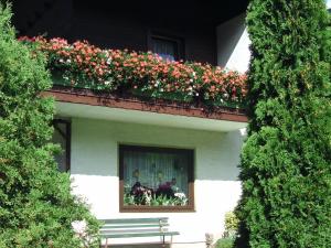 Zdjęcie z galerii obiektu Appartement Ria w mieście Bad Kleinkirchheim