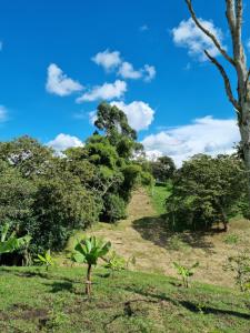 Imagen de la galería de MOCANA BIOHOTEL, en Circasia